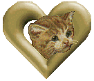 kitty heart