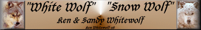 White Wolf- Snow Wolf