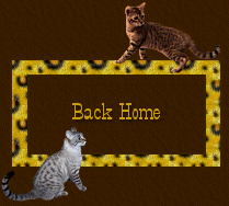 Back Home To Sleepy's Dog House And Photo Galleries