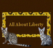 All About Liberty View Her Photos