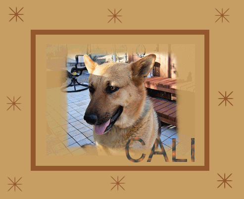 Cali