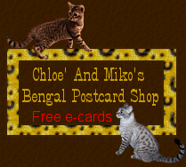 Chloe' And Miko's Postcard Shop