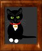 Check Out Maukie The Interactive Kitty