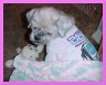 Punky's Page