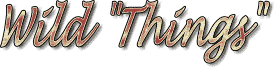 Wild Things