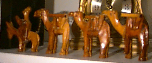 camel.jpg