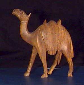 camel2.jpg