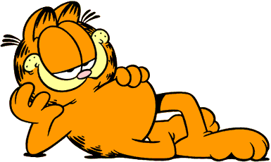 Lazy Cat