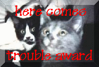 From the Troublemakers