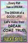 Dream Come True Next Site