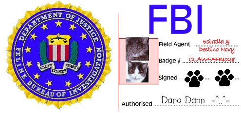 FBI Award