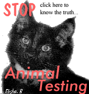 Stop Animal Testing