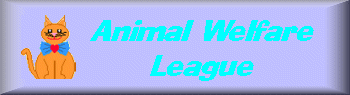 Animal Welfare League