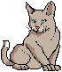 kitty.gif