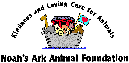 Noah's Ark 