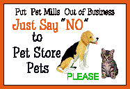 Stop Petstore Pets