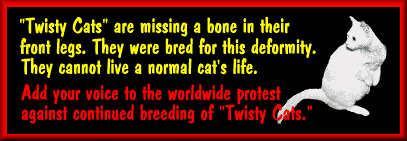 Say NO to Twisty cats!