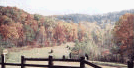Fall View of Northern Lee County