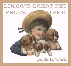 Great Pet Award