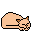sleeping cat