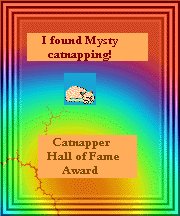 Cat Nap Award