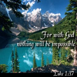 Scripture Scene