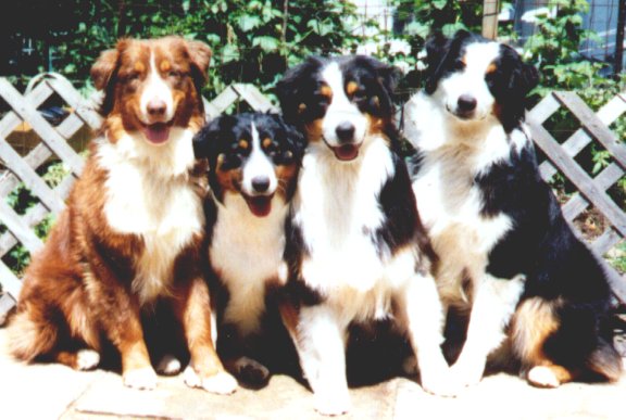 Danni's family