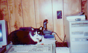 Mr.BoJangles"