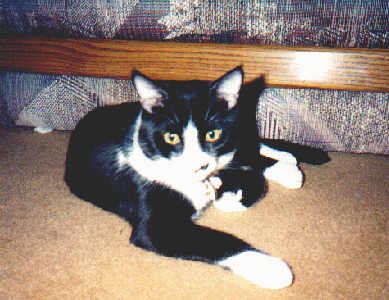 Mr. BoJangles
