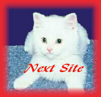 Cats and Kittens Webring Next Site