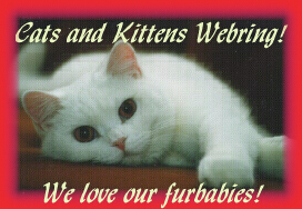 Cats and Kittens Webring