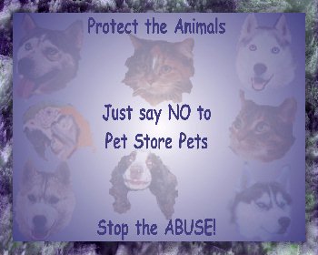 Puppy Mill Abuse