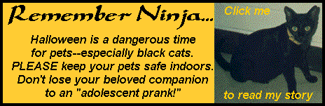 ninja