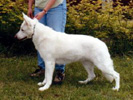 Bailey