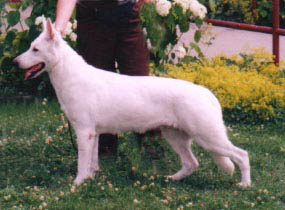 Quincy