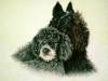 thumbnail of your picture #2