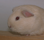 thumbnail of your picture #3