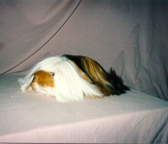 thumbnail of your picture #5
