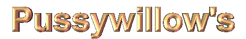 Pussywillow's