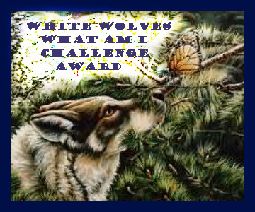whatamiaward.jpg (77312 bytes)