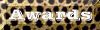 leopdaward.gif (3893 bytes)