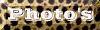 leopdphoto.gif (3828 bytes)