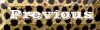 leopdprev.gif (3939 bytes)