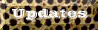 leopdupdtes.gif (3930 bytes)