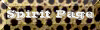 lspiritpage.gif (3960 bytes)