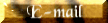 temail.gif (2990 bytes)