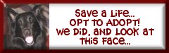 optshadow