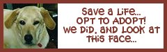 optsugar