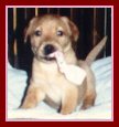 WG Baby Pic