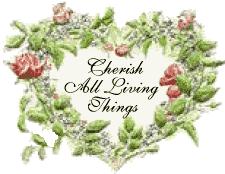 Cherish